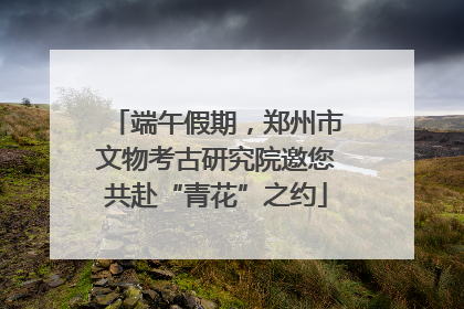 端午假期，郑州市文物考古研究院邀您共赴“青花”之约