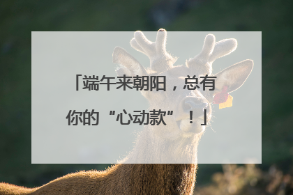端午来朝阳，总有你的“心动款”！