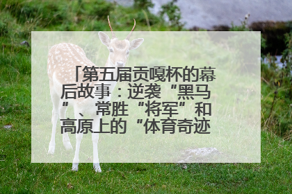 第五届贡嘎杯的幕后故事：逆袭“黑马”、常胜“将军”和高原上的“体育奇迹”丨微纪录