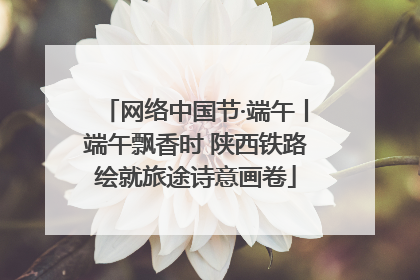 网络中国节·端午丨端午飘香时 陕西铁路绘就旅途诗意画卷