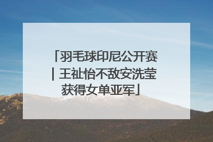 羽毛球印尼公开赛｜王祉怡不敌安洗莹 获得女单亚军
