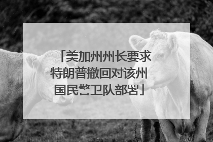 美加州州长要求特朗普撤回对该州国民警卫队部署