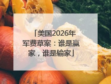 美国2026年军费草案：谁是赢家，谁是输家