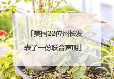 美国22位州长发表了一份联合声明