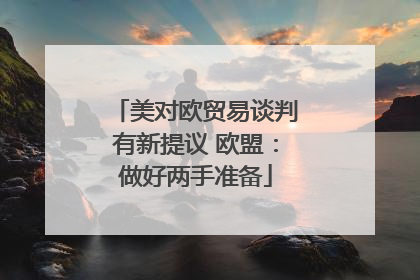 美对欧贸易谈判有新提议 欧盟：做好两手准备