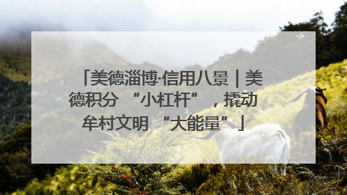 美德淄博·信用八景｜美德积分 “小杠杆”，撬动牟村文明 “大能量”