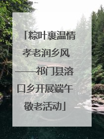 粽叶裹温情 孝老润乡风——祁门县溶口乡开展端午敬老活动