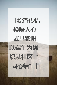 粽香传情 橙暖人心 武昌紫阳以端午为媒织就社区“同心结”