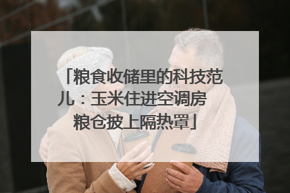 粮食收储里的科技范儿：玉米住进空调房 粮仓披上隔热罩