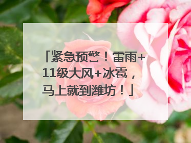 紧急预警！雷雨+11级大风+冰雹，马上就到潍坊！
