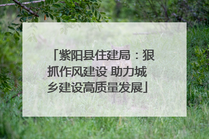 紫阳县住建局：狠抓作风建设 助力城乡建设高质量发展