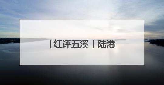红评五溪丨陆港大道：以基建升级之笔，书鹤中一体化理念革新之章