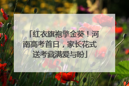 红衣旗袍擎金葵！河南高考首日，家长花式送考藏满爱与盼