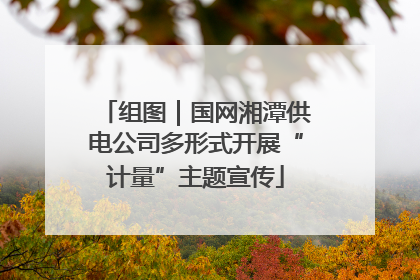 组图｜国网湘潭供电公司多形式开展“计量”主题宣传