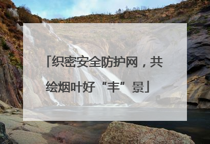 织密安全防护网，共绘烟叶好“丰”景