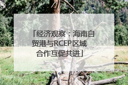 经济观察：海南自贸港与RCEP区域合作互促共进