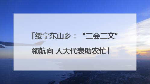 绥宁东山乡：“三会三文”领航向 人大代表助农忙