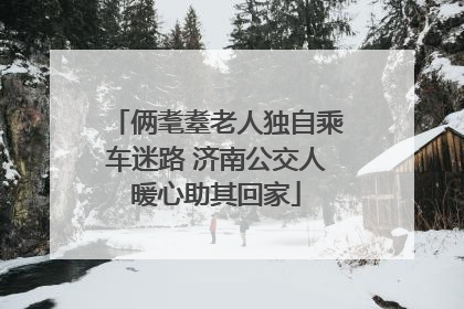 俩耄耋老人独自乘车迷路 济南公交人暖心助其回家
