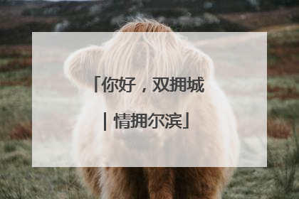 你好，双拥城｜情拥尔滨
