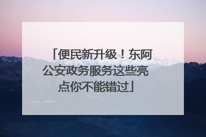 便民新升级！东阿公安政务服务这些亮点你不能错过