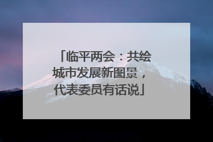 临平两会：共绘城市发展新图景，代表委员有话说