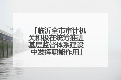 临沂全市审计机关积极在统筹推进基层监督体系建设中发挥职能作用