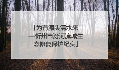 为有源头清水来——忻州市汾河流域生态修复保护纪实