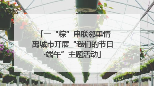 一“粽”串联邻里情 禹城市开展“我们的节日·端午”主题活动