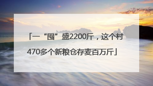 一“囤”盛2200斤，这个村470多个新粮仓存麦百万斤