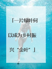 一片绿叶何以成为乡村振兴“金叶”