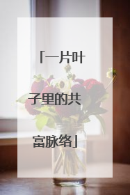 一片叶子里的共富脉络