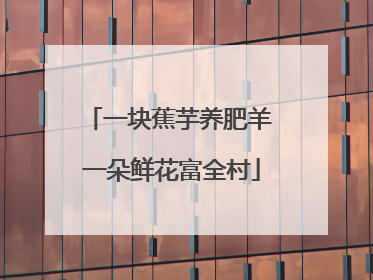一块蕉芋养肥羊 一朵鲜花富全村