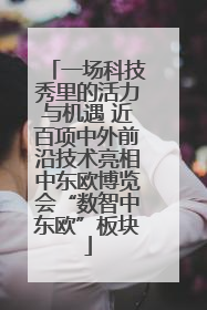 一场科技秀里的活力与机遇 近百项中外前沿技术亮相中东欧博览会“数智中东欧”板块