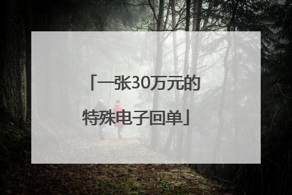 一张30万元的特殊电子回单