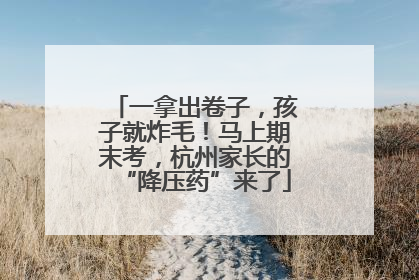 一拿出卷子，孩子就炸毛！马上期末考，杭州家长的“降压药”来了