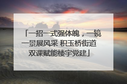 一招一式强体魄，一镜一景展风采 积玉桥街道双课赋能楼宇党建