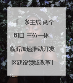 一条主线 两个切口 三位一体 临沂加速推动开发区建设领域改革