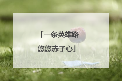 一条英雄路 悠悠赤子心