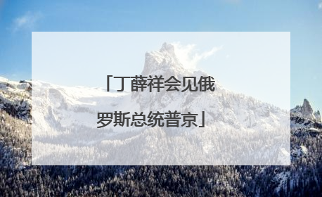 丁薛祥会见俄罗斯总统普京