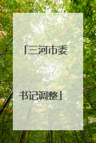 三河市委书记调整