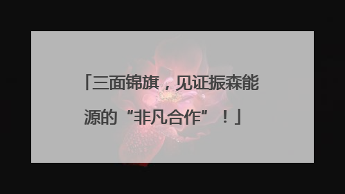 三面锦旗，见证振森能源的“非凡合作”！