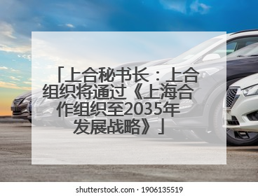 上合秘书长：上合组织将通过《上海合作组织至2035年发展战略》
