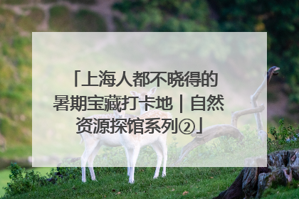 上海人都不晓得的 暑期宝藏打卡地｜自然资源探馆系列②