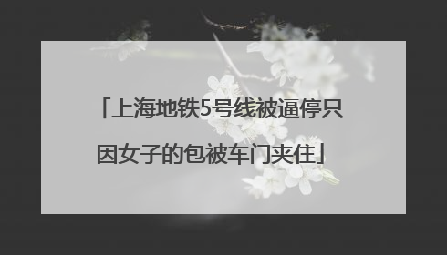 上海地铁5号线被逼停只因女子的包被车门夹住
