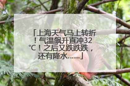 上海天气马上转折！气温飙升直冲32℃！之后又跌跌跌，还有降水……