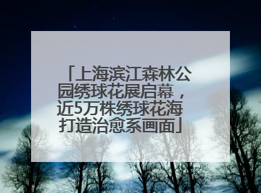 上海滨江森林公园绣球花展启幕，近5万株绣球花海打造治愈系画面