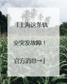 上海这条轨交突发故障！官方消息→