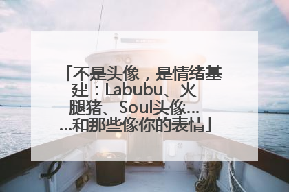 不是头像，是情绪基建：Labubu、火腿猪、Soul头像……和那些像你的表情