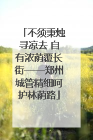 不须秉烛寻凉去 自有浓荫覆长街——郑州城管精细呵护林荫路