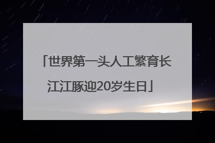 世界第一头人工繁育长江江豚迎20岁生日